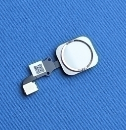 Кнопка Home Apple iPhone 6 біла з сріблом