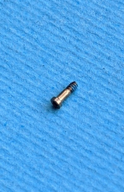 Lower screw Apple iPhone 6 Gold 1 pc