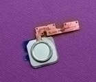 Сканер отпечатка LG V20 кнопка включения серебро